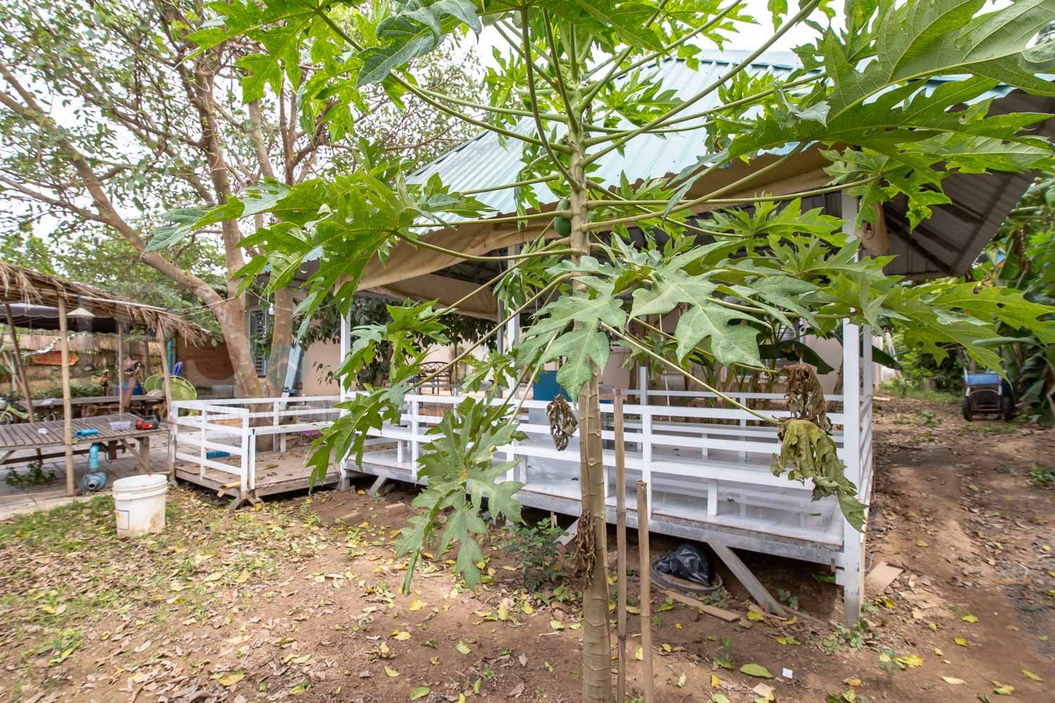 1,200 Sqm Land For Sale Chbar Ampov, Phnom Penh 9265 IPS Cambodia