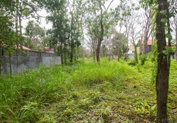 12,600 sq.m. Land For Sale - Slor Kram, Siem Reap thumbnail