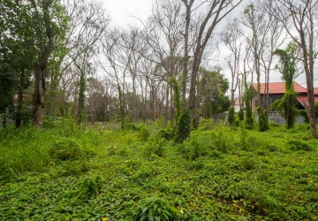 12,600 sq.m. Land For Sale - Slor Kram, Siem Reap thumbnail