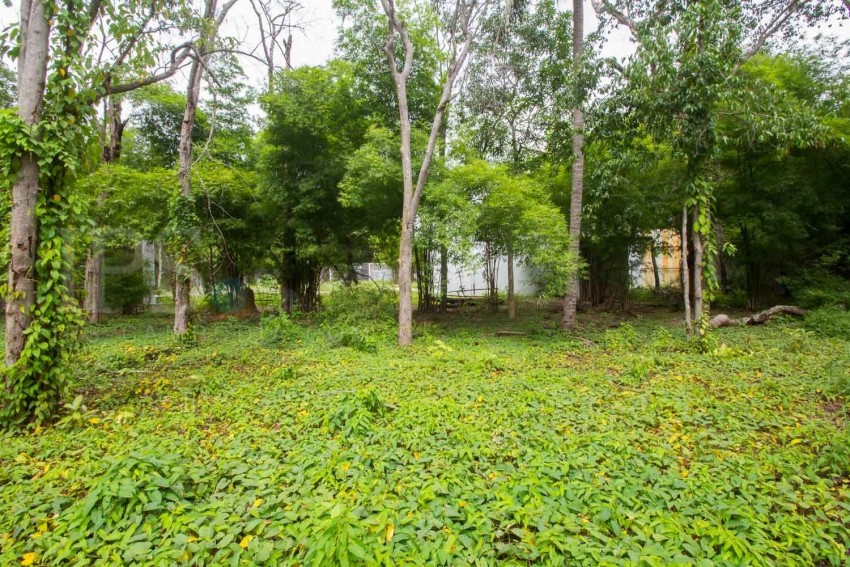 12,600 sq.m. Land For Sale - Slor Kram, Siem Reap