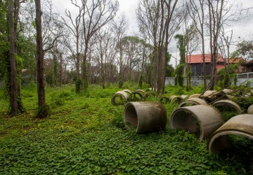 12,600 sq.m. Land For Sale - Slor Kram, Siem Reap thumbnail