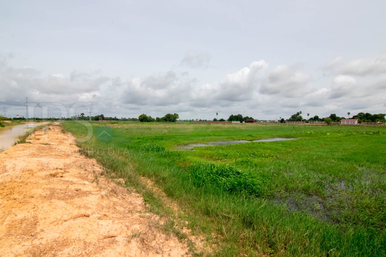 40,000 sq.m. Land For Sale - Svay Dangkum, Siem Reap