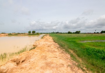 40,000 sq.m. Land For Sale - Svay Dangkum, Siem Reap thumbnail