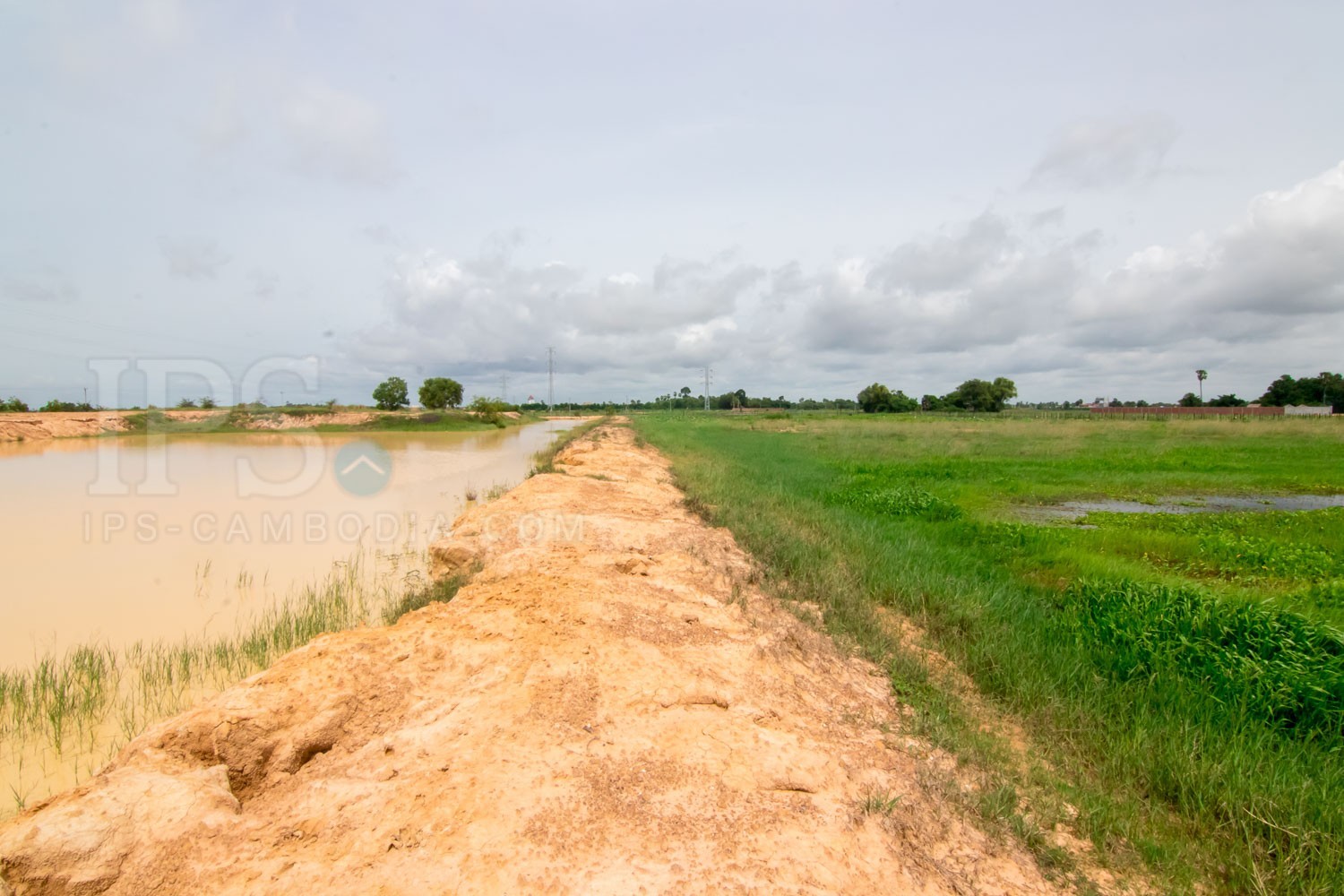 40,000 sq.m. Land For Sale - Svay Dangkum, Siem Reap - Image 2