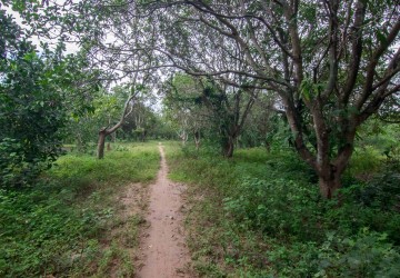 120,000 sq.m.  Land For Sale - Banteay Srei, Siem Reap thumbnail