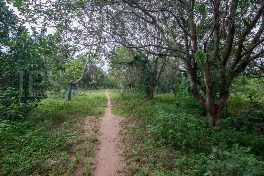 120,000 sq.m.  Land For Sale - Banteay Srei, Siem Reap