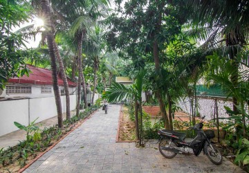 17 Room Commercial Building For Rent - Night Market Area, Siem Reap thumbnail