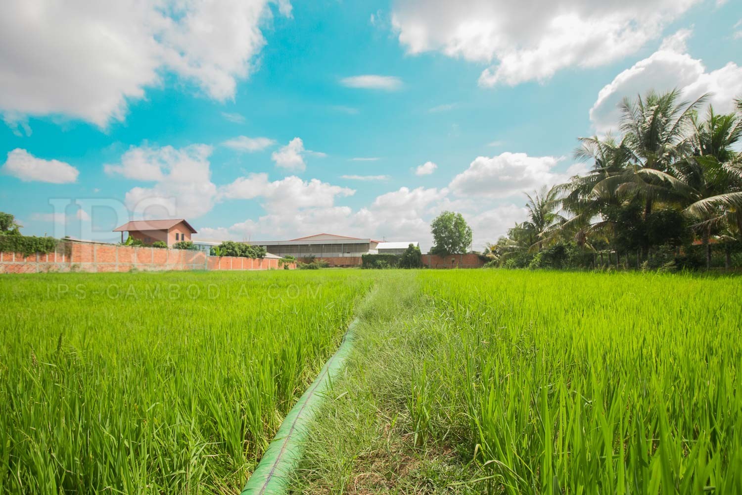3,813 sq.m. Land For Sale - Sala Kamreuk, Siem Reap 3,813 sq.m. Land For Sale - Sala Kamreuk, Siem Reap