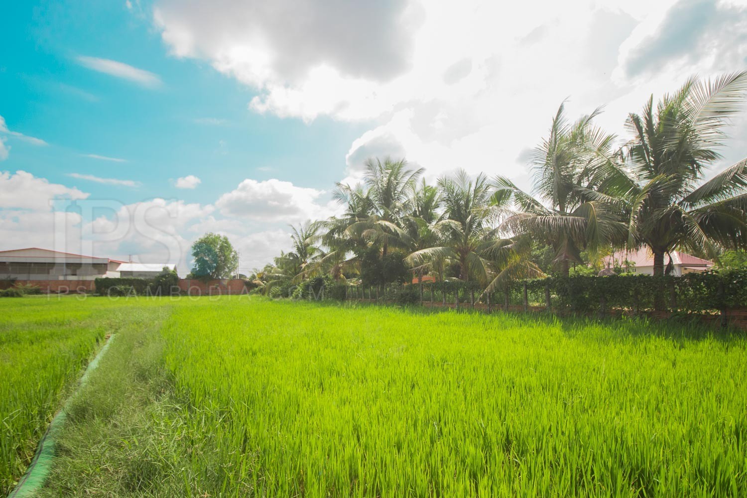 3,813 sq.m. Land For Sale - Sala Kamreuk, Siem Reap - Image 7 3,813 sq.m. Land For Sale - Sala Kamreuk, Siem Reap - Image 7
