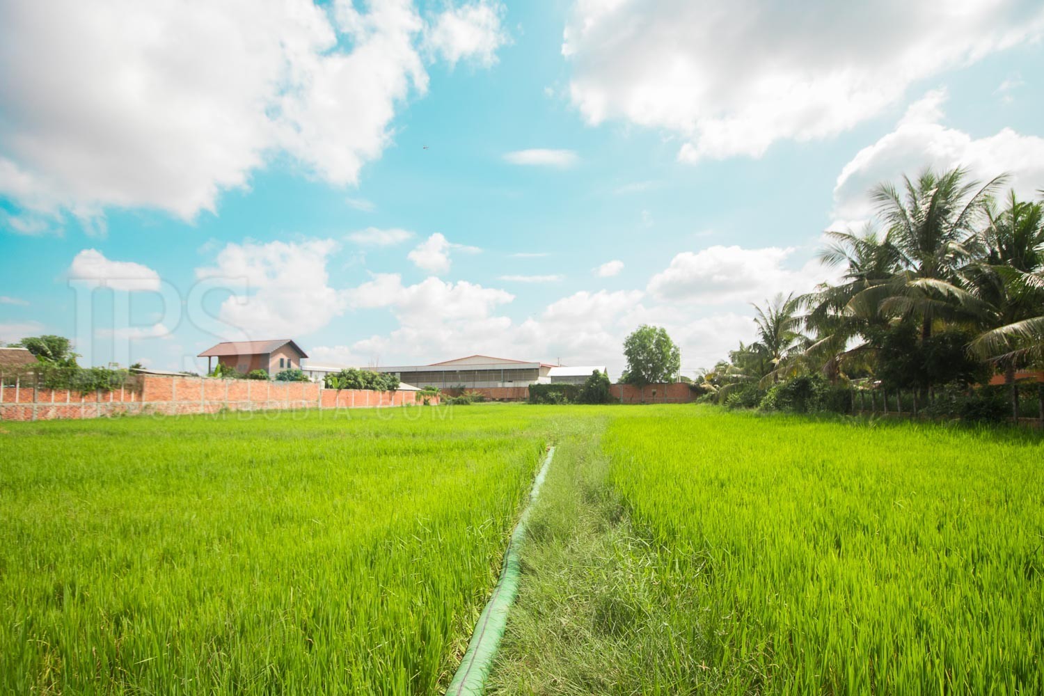 3,813 sq.m. Land For Sale - Sala Kamreuk, Siem Reap - Image 5 3,813 sq.m. Land For Sale - Sala Kamreuk, Siem Reap - Image 5