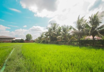  3,813??? sq.m. Land For Sale - Sala Kamreuk, Siem Reap thumbnail