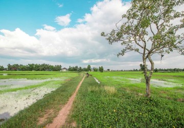 10,000 sq.m. Land For Sale - Sambour, Siem Reap thumbnail