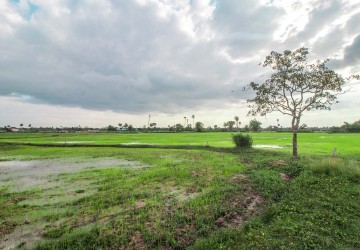 10,000 sq.m. Land For Sale - Sambour, Siem Reap thumbnail