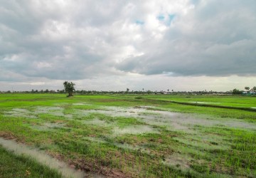 10,000 sq.m. Land For Sale - Sambour, Siem Reap thumbnail