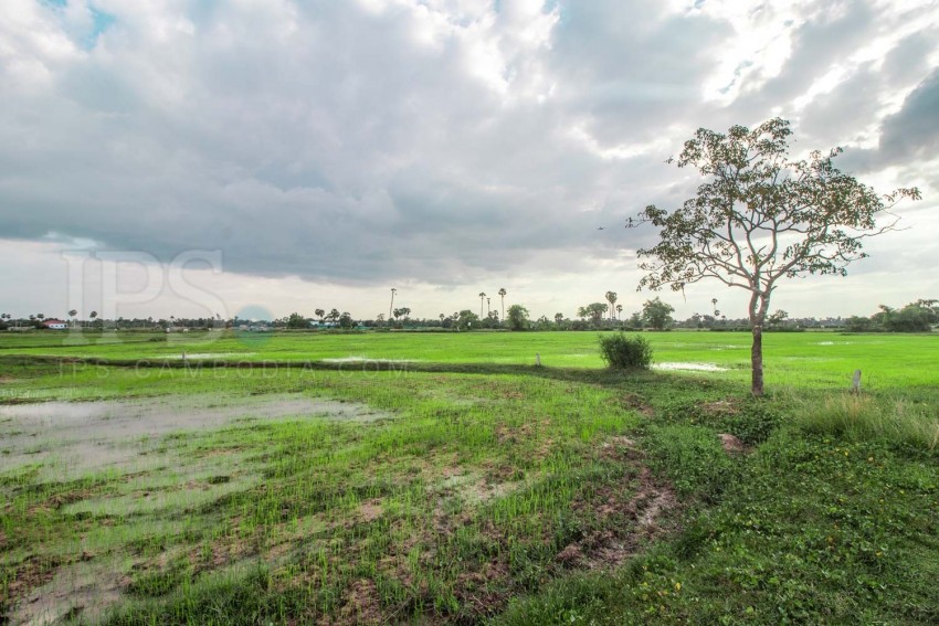 10,000 sq.m. Land For Sale - Sambour, Siem Reap