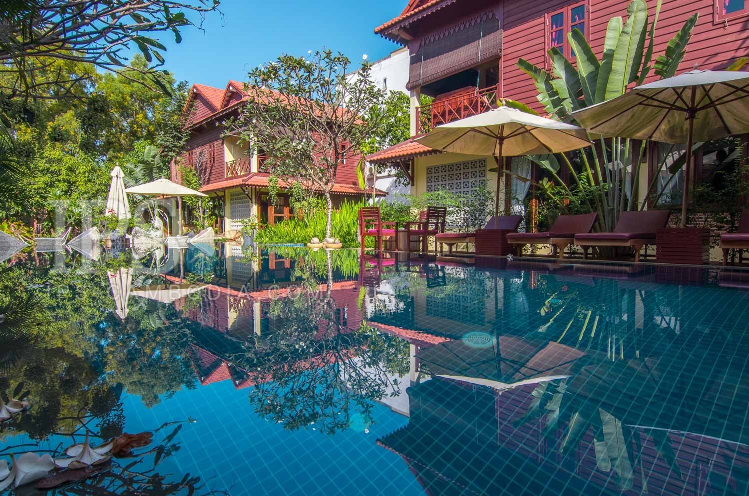 3 Bedroom Junglethemed Villa For Rent Sala Kamreuk Siem Reap 10480 ...