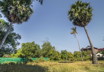   2 Hectares Land For Sale - Svay Thom, Siem Reap thumbnail