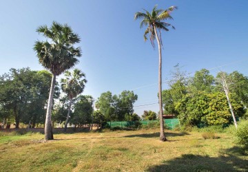   2 Hectares Land For Sale - Svay Thom, Siem Reap thumbnail