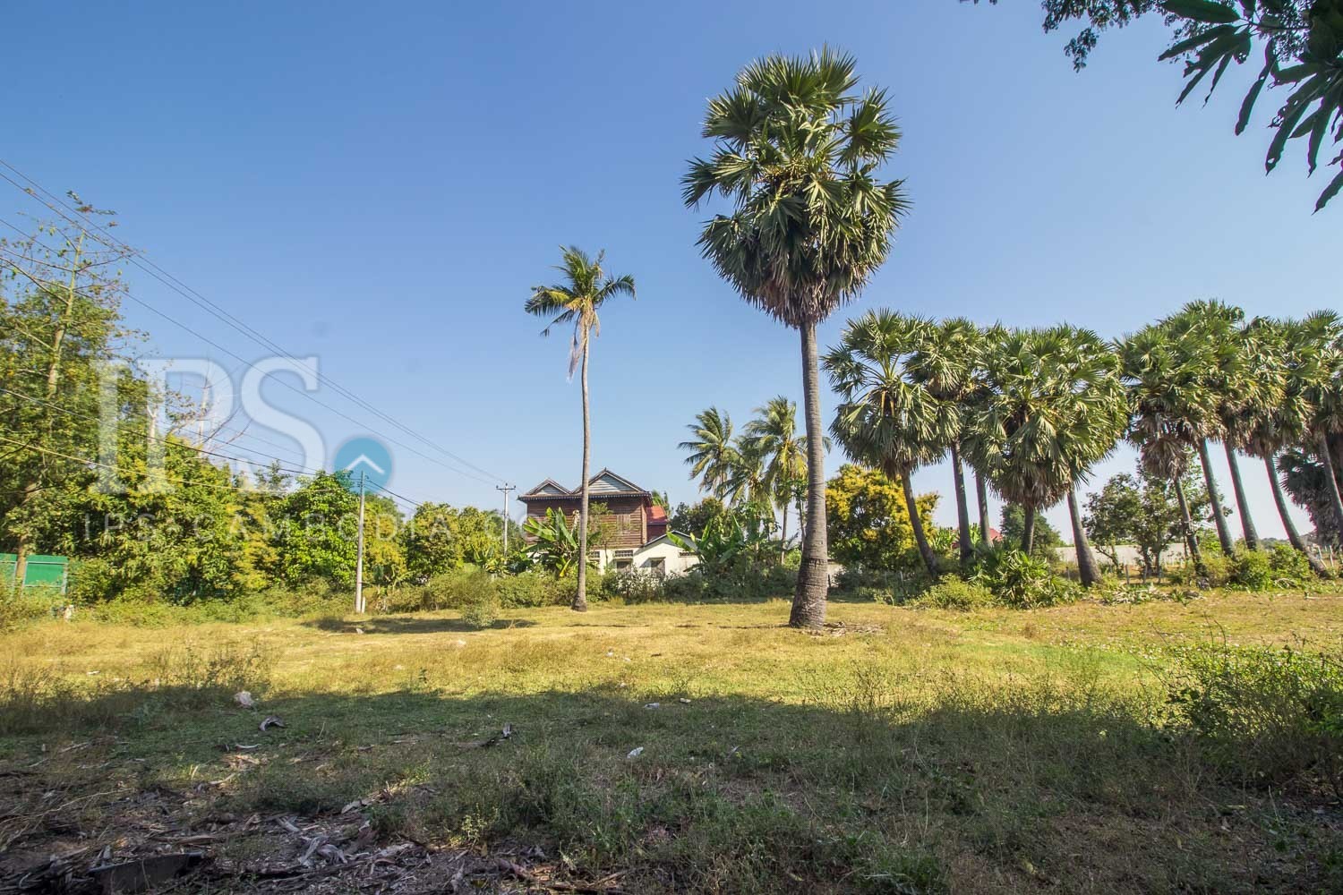 2 Hectares Land For Sale Svay Thom, Siem Reap 9939 IPS Cambodia