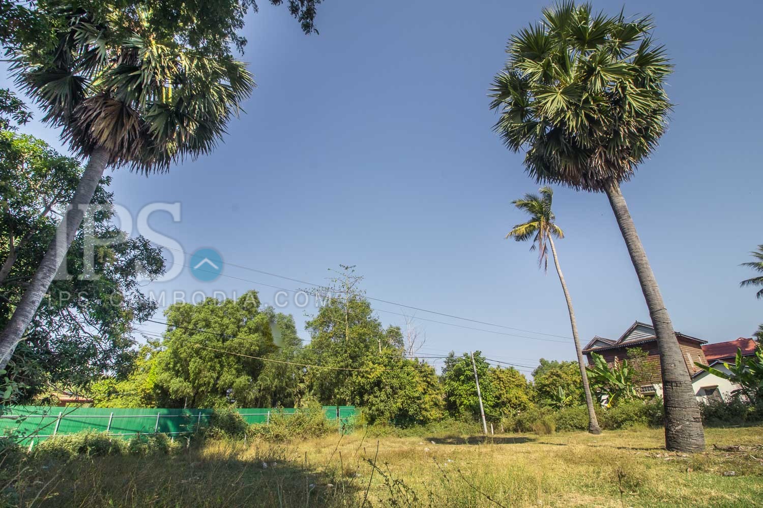 2 Hectares Land For Sale Svay Thom, Siem Reap 9939 IPS Cambodia