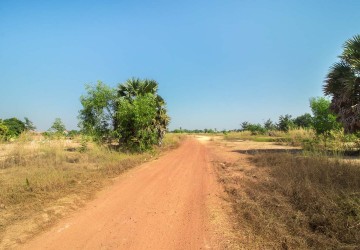   15 Hectares Land For Sale - Svay Thom, Siem Reap thumbnail