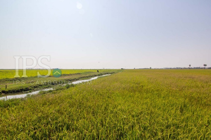  8000 Sqm Land For Sale - Chreav, Siem Reap