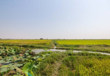  8000 Sqm Land For Sale - Chreav, Siem Reap thumbnail