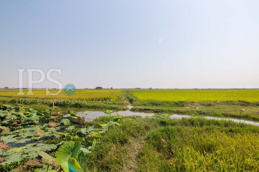  8000 Sqm Land For Sale - Chreav, Siem Reap