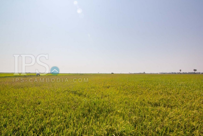  8000 Sqm Land For Sale - Chreav, Siem Reap