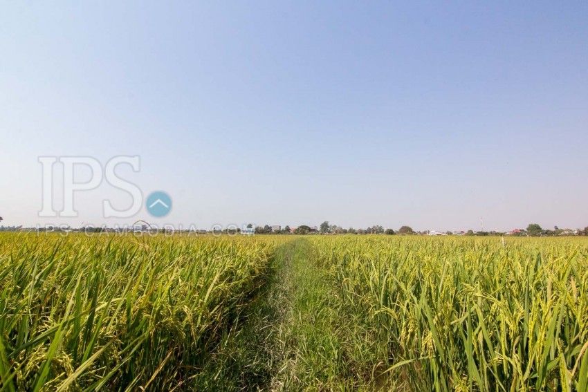  8000 Sqm Land For Sale - Chreav, Siem Reap