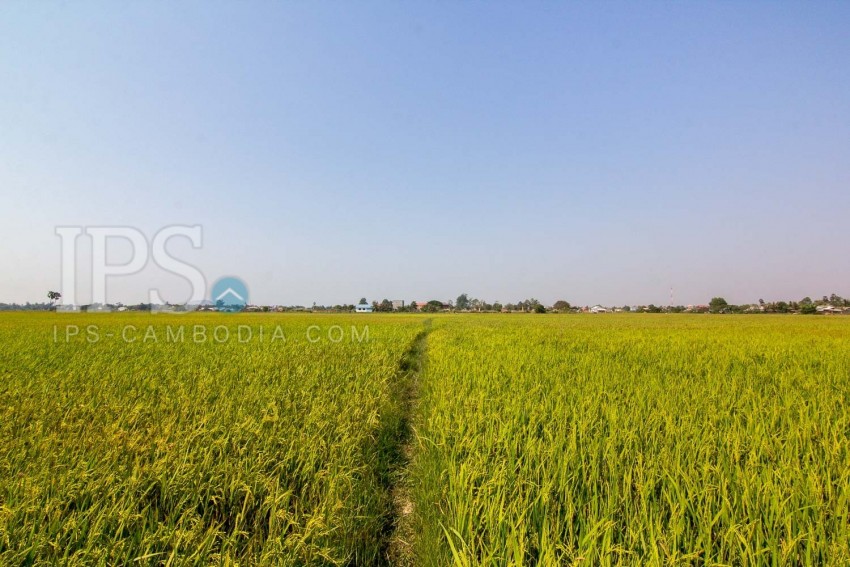  8000 Sqm Land For Sale - Chreav, Siem Reap