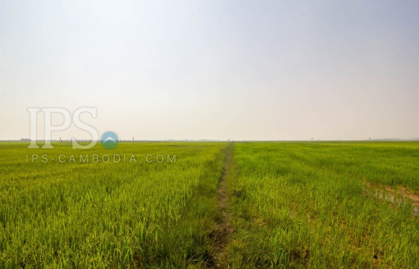   13,500? Sqm Land For Sale - Sangkat Siem Reap, Siem Reap