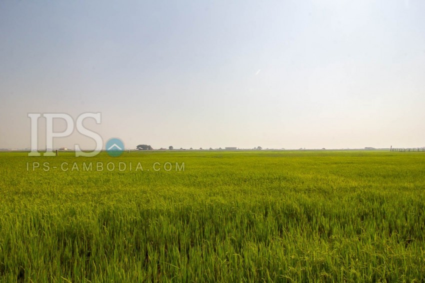   13,500? Sqm Land For Sale - Sangkat Siem Reap, Siem Reap