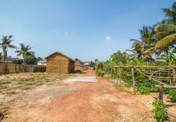 435 Sqm Land For Sale - Sala Kamreuk, Siem Reap thumbnail
