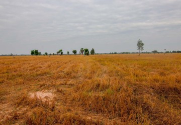 4500 Sqm Land  For Sale - Bakong District, Siem Reap thumbnail