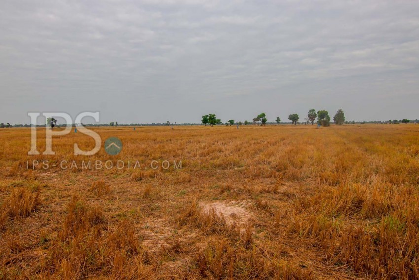 4500 Sqm Land  For Sale - Bakong District, Siem Reap