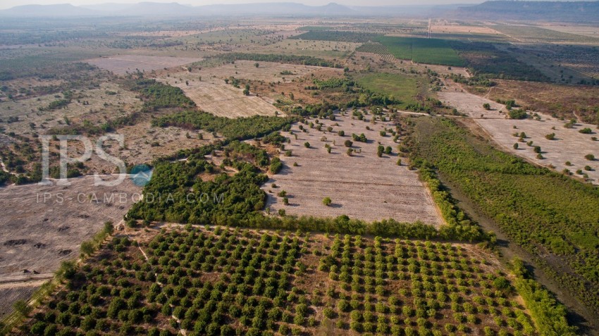 50,000 Sqm Land For Sale - Banteay Srei , Siem Reap