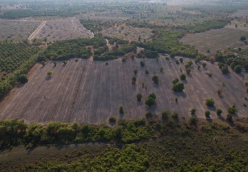 50,000 Sqm Land For Sale - Banteay Srei , Siem Reap thumbnail