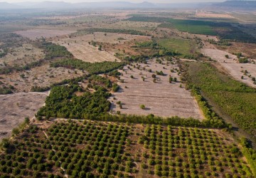 50,000 Sqm Land For Sale - Banteay Srei , Siem Reap thumbnail