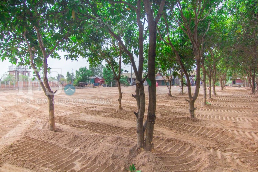 400 Sqm Land  For Sale - Slor Kram, Siem Reap