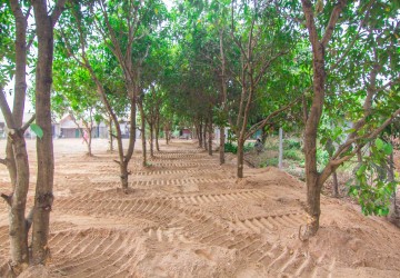 400 Sqm Land  For Sale - Slor Kram, Siem Reap thumbnail