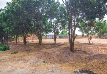 400 Sqm Land  For Sale - Slor Kram, Siem Reap thumbnail