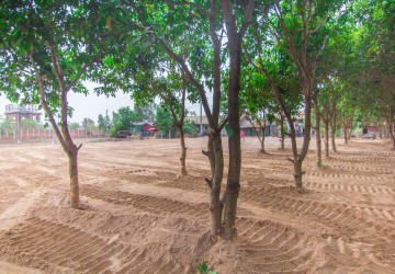 400 Sqm Land  For Sale - Slor Kram, Siem Reap thumbnail