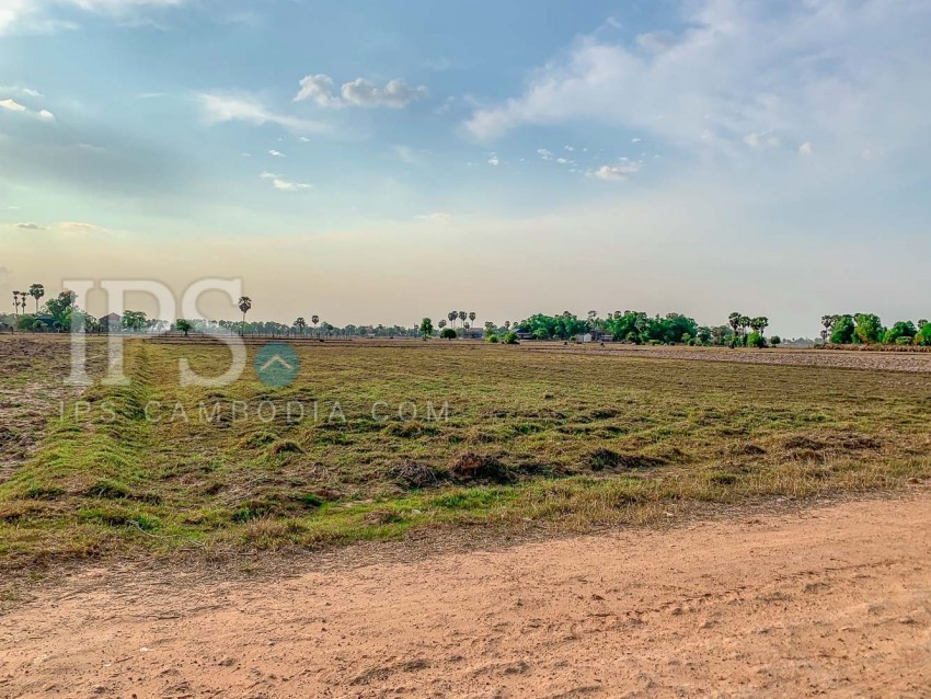   5000 Sqm Land For Sale - Pouk, Siem Reap