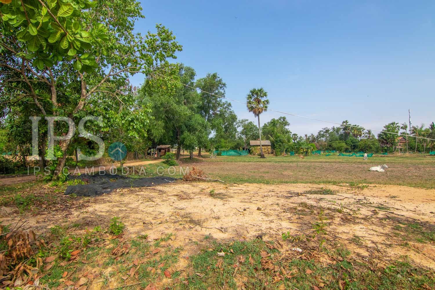 448 Sqm Land For Sale - Krabi Riel, Siem Reap - Image 3 448 Sqm Land For Sale - Krabi Riel, Siem Reap - Image 3