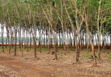 90 Hectare Land For Long Term Lease - Kampong Cham Province thumbnail