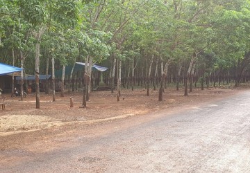 90 Hectare Land For Long Term Lease - Kampong Cham Province thumbnail