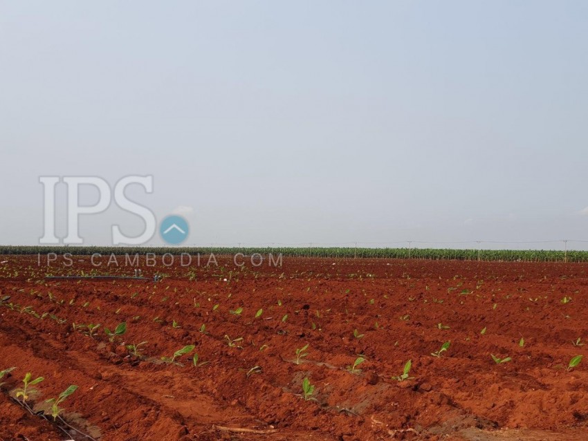90 Hectare Land For Long Term Lease - Kampong Cham Province