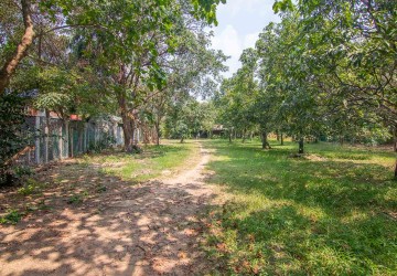   2500 Sqm Land For Sale - Slor Kram, Siem Reap thumbnail