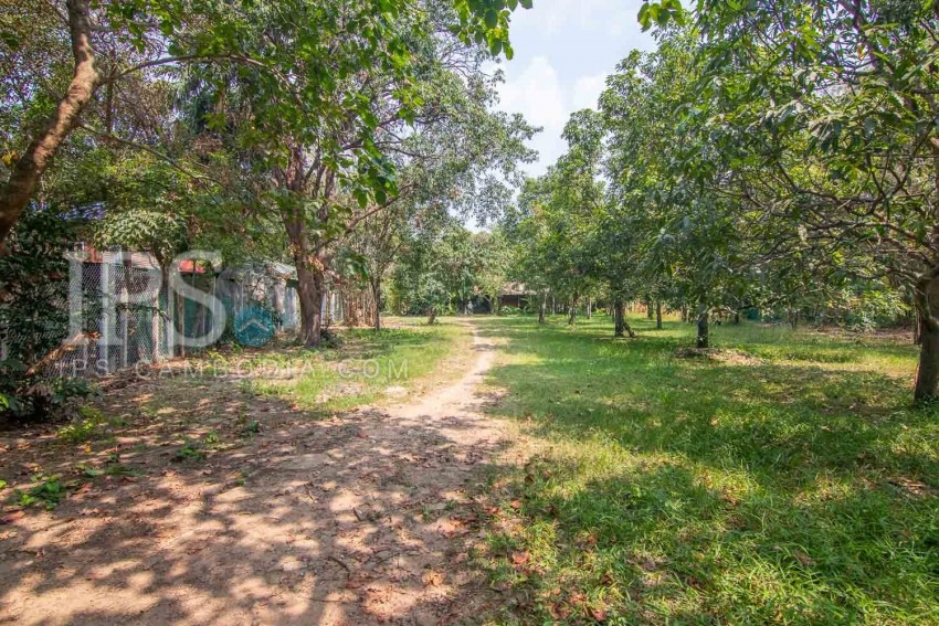   2500 Sqm Land For Sale - Slor Kram, Siem Reap